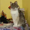 Отзыв от Варвара Ефимова